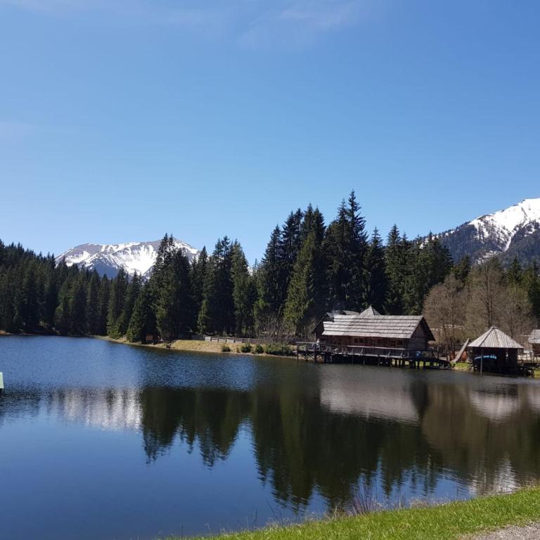 Milena-Hütte - Vacation Home - 24