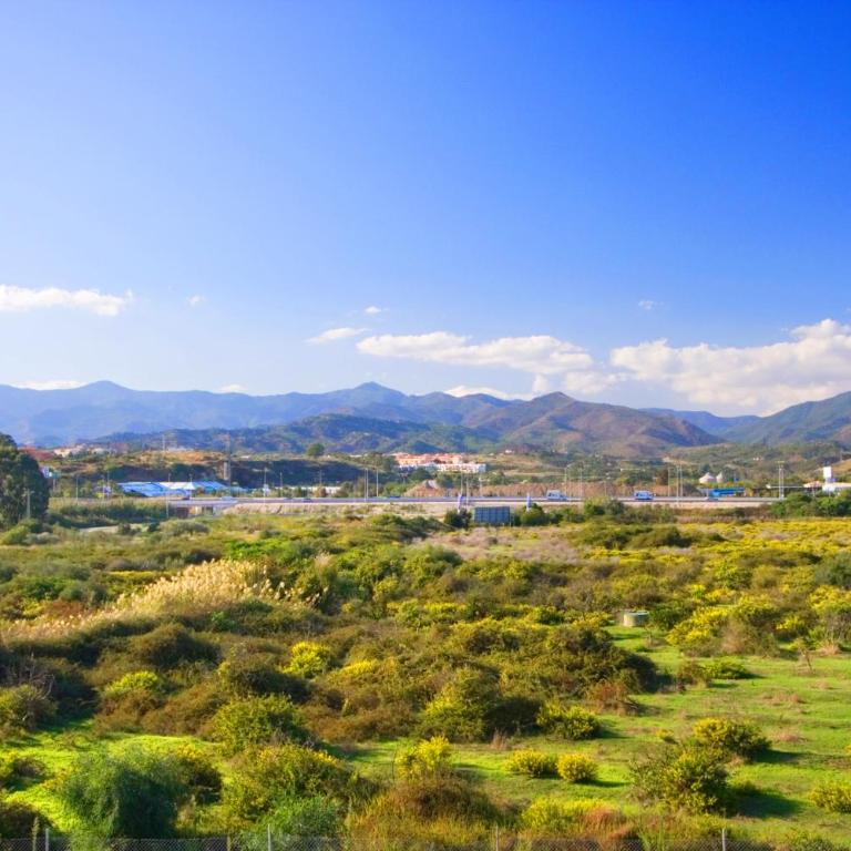 Appt 311 Heaven Beach-Paseo-All year heated pool-Free Bikes - Apartamento de 2 dormitorios con terraza y vistas al mar - 25