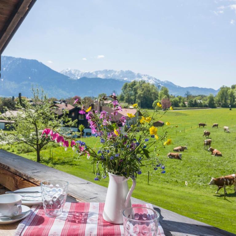 Lainthalerhof - Studio mit Balkon - 1
