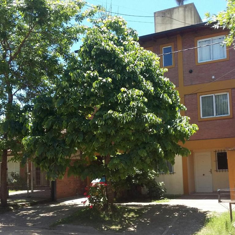 La Palmera escondida - Casa de 3 dormitorios - 1