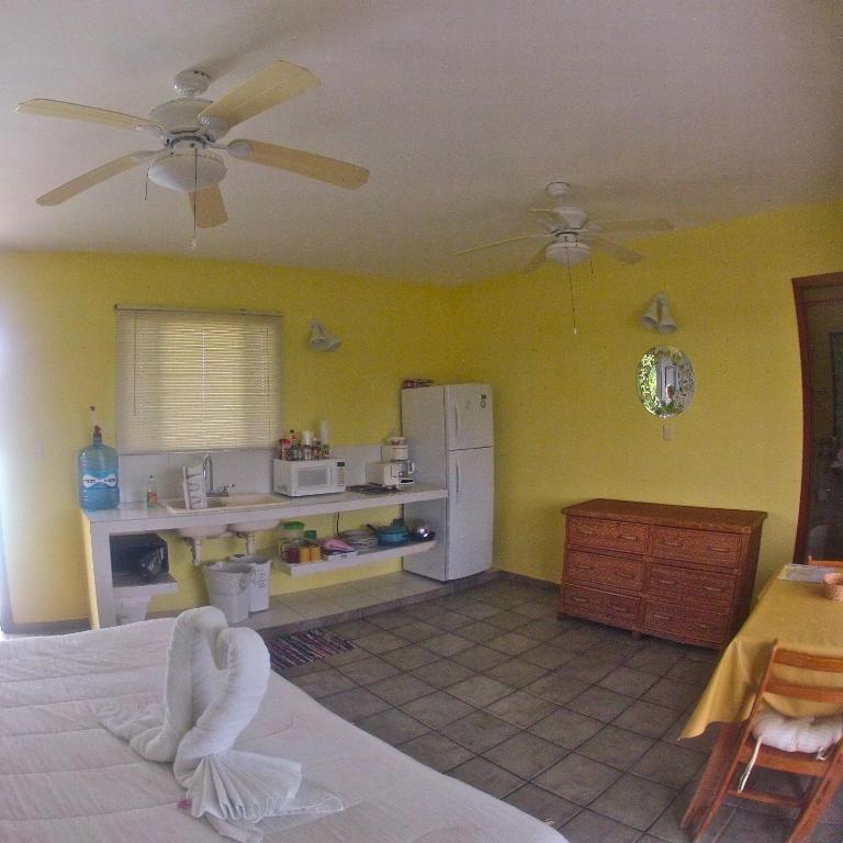 Sea Hawk Suites - Studio - 8