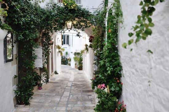 Attico Ostuni - Appartamento Attico - 25