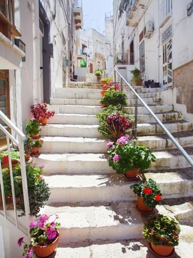 Attico Ostuni - Appartamento Attico - 24