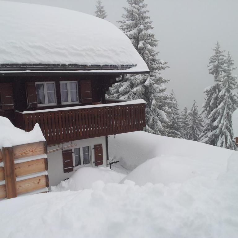 Chalet Grazia - Panorama Apartment mit 2 Schlafzimmern - 9