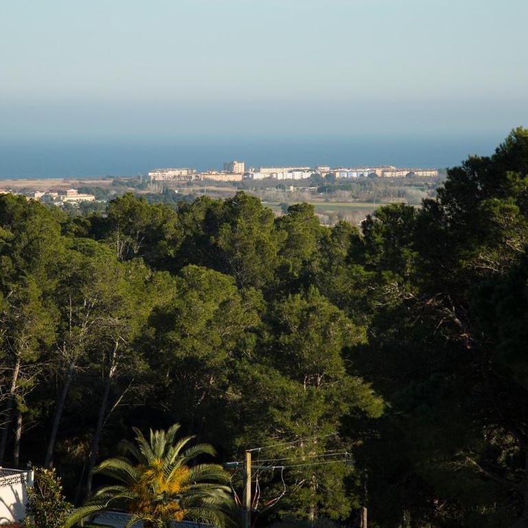 Torre Orquidaceae - Plus Costa Brava - Villa - 6