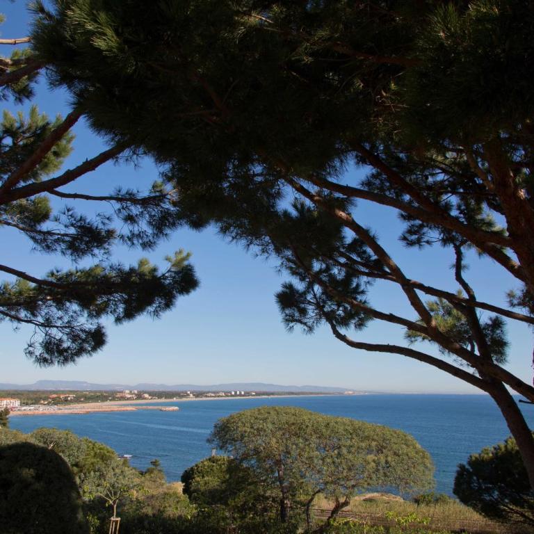 Hôtel & Spa Les Mouettes - Chambre Double - Vue sur Mer - 1