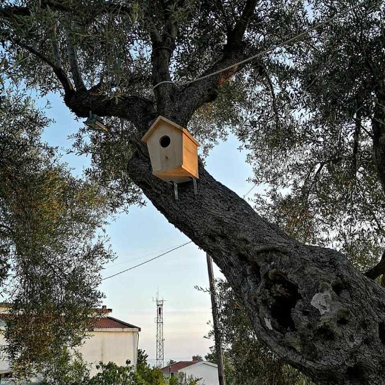 Apartman Nikocevic - Kuća sa 1 Spavaćom Sobom - 17