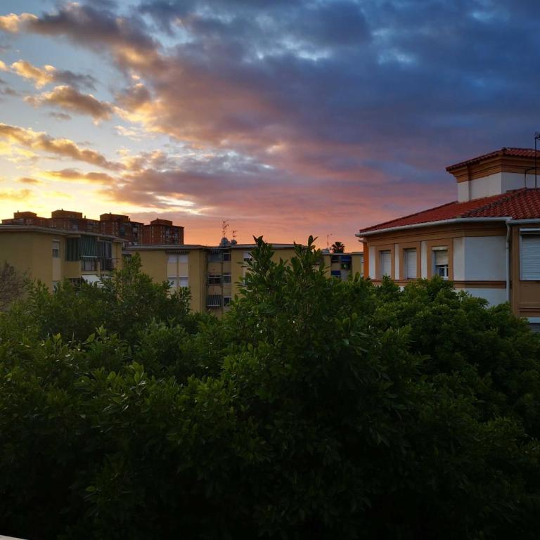 SunnySpainHolidays Apartments - Apartment - 20