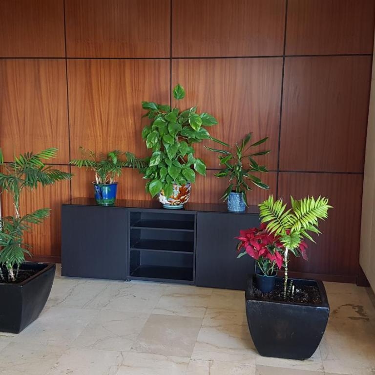 Apartamento recién renovado 1ª línea en Benalmádena - Apartamento de 1 dormitorio - 40