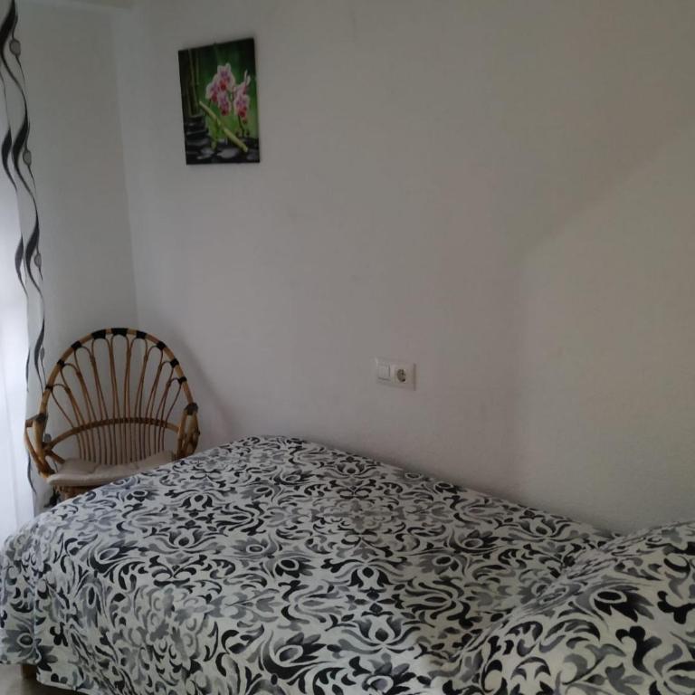 Habitaciones privadas Alicante centro - Economy Single Room - 8