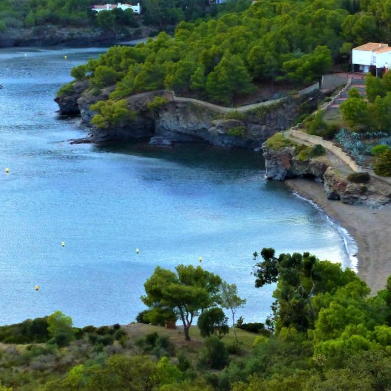 Marina 7 - Apartamento de 1 dormitorio - 25