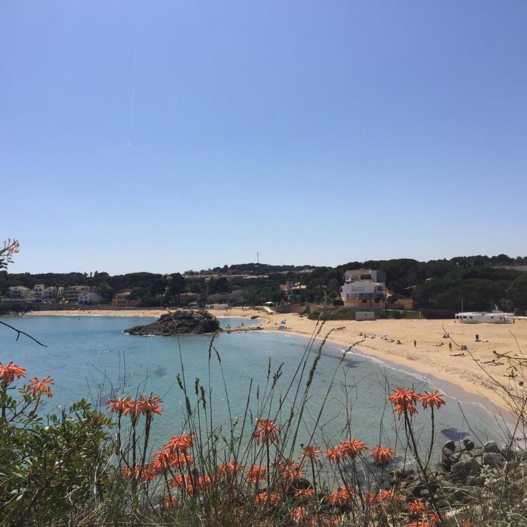 Xalet 81D - Casa de 4 dormitorios - 20
