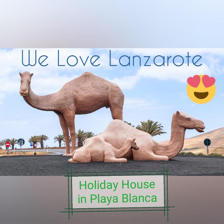 Love for Lanzarote holidays house - Loft - 77