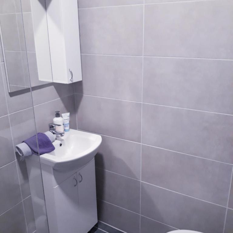 Studio - Stan na dan Nina - Pale Centar - One-Bedroom Apartment - 15