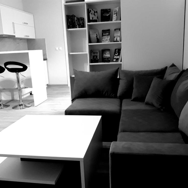 Studio - Stan na dan Nina - Pale Centar - One-Bedroom Apartment - 6