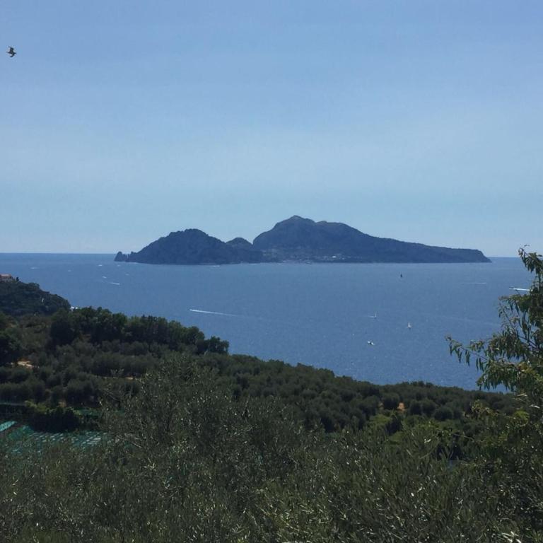 B&B La Quiete - Apartment - 41