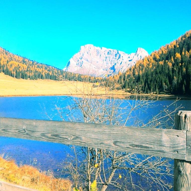 Casa Lausen - Appartamento - 100