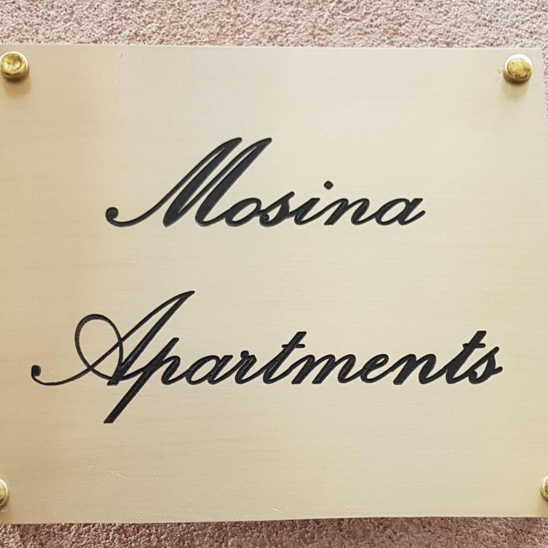 Mosina Apartments - Apartment with Terrace - 28