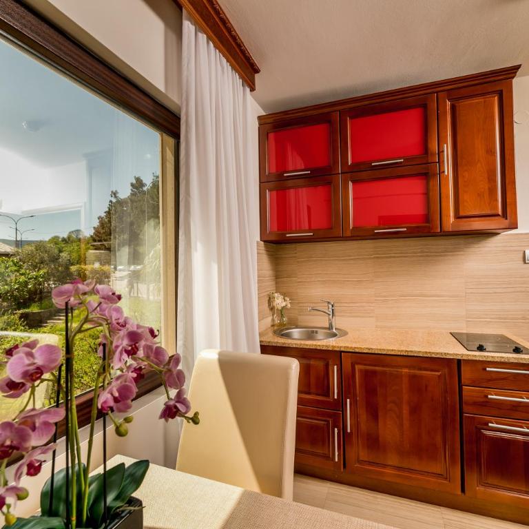 Apartmani Laban - Apartman sa 1 Spavaćom Sobom - 4