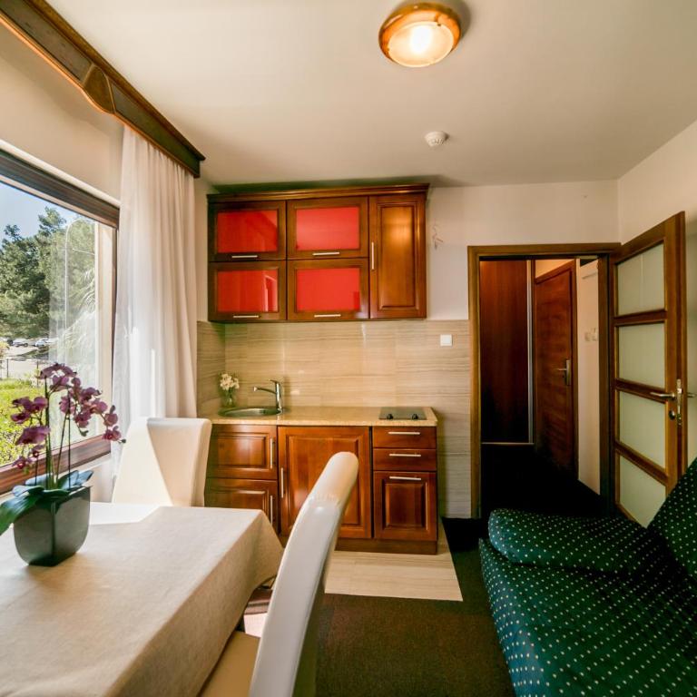 Apartmani Laban - Apartman sa 1 Spavaćom Sobom - 5