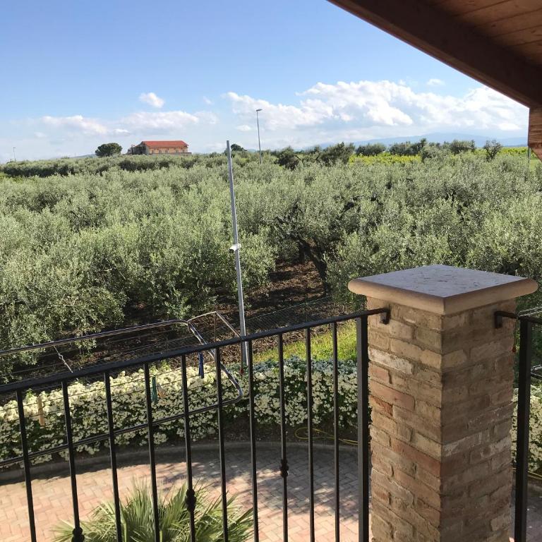 Il Podere del Carlone - Appartement - Rez-de-Chaussée - 3