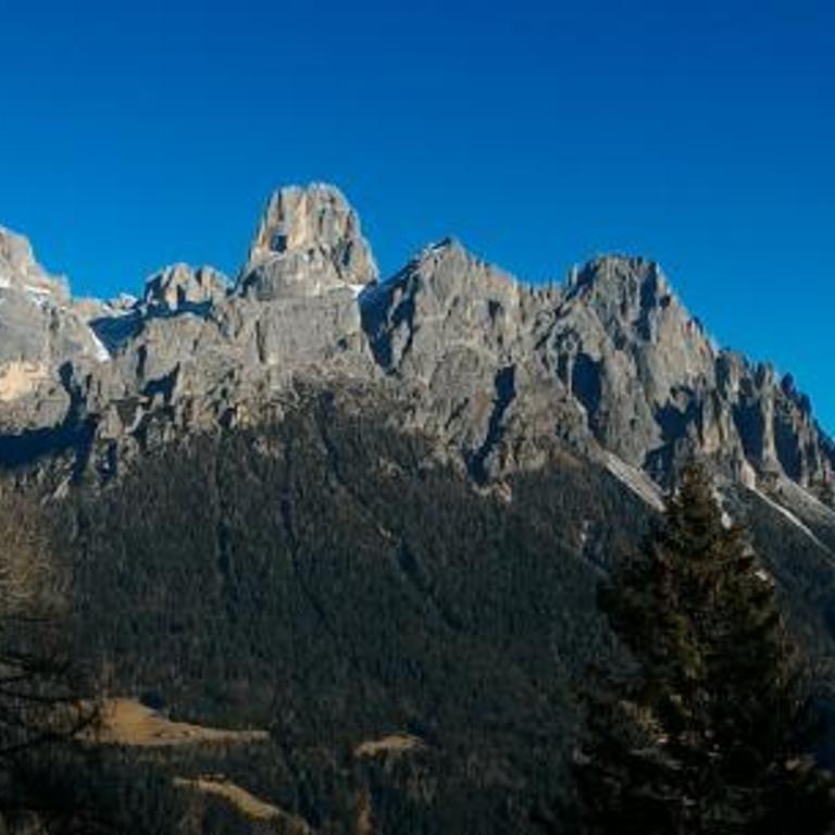 Casa Lausen - Appartamento - 79