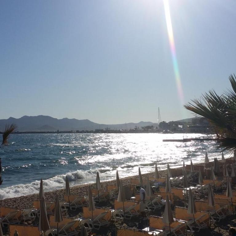 Cannes Riviera - Appartement - 2