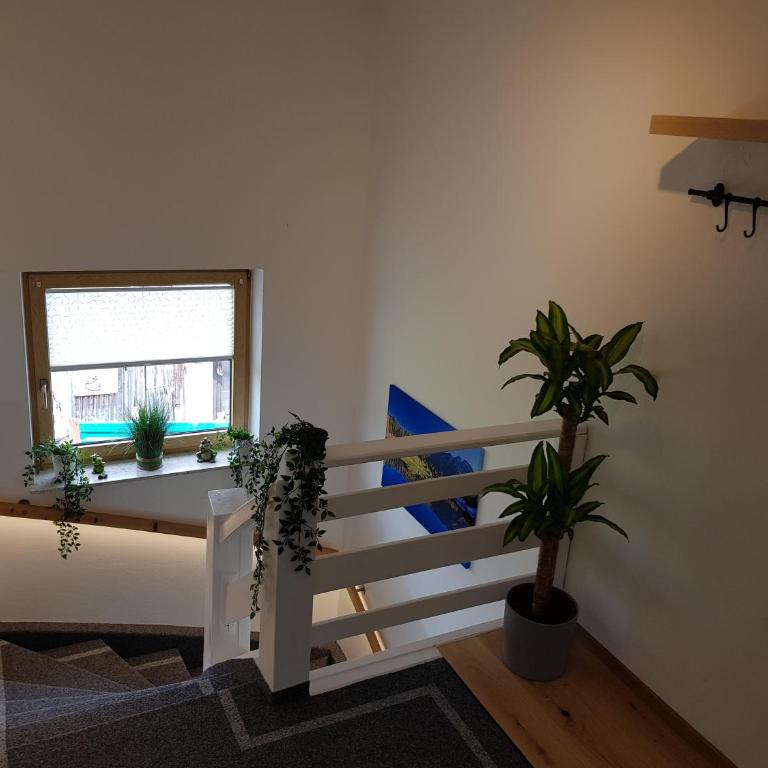 Appartment LuKi - Apartment - 16