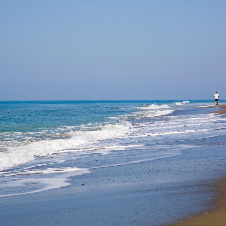 Appt 401-3-Bed-Heaven Beach-Paseo-All year heated pool-Free Bikes - Apartamento con vistas al mar - 49