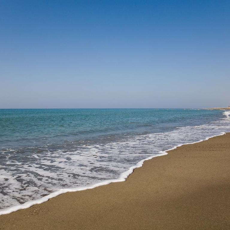 Appt 401-3-Bed-Heaven Beach-Paseo-All year heated pool-Free Bikes - Apartamento con vistas al mar - 45