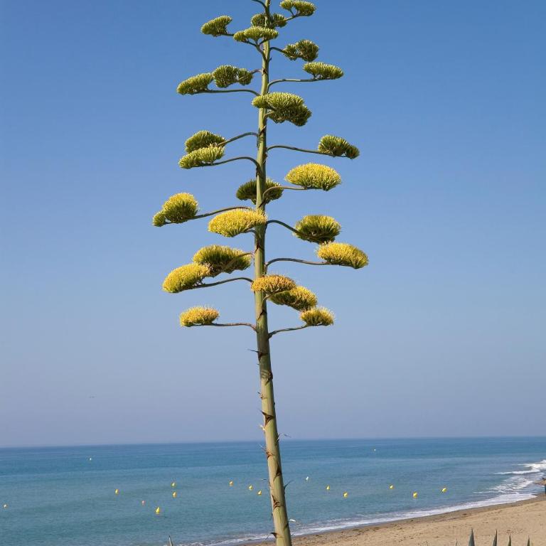 Appt 401-3-Bed-Heaven Beach-Paseo-All year heated pool-Free Bikes - Apartamento con vistas al mar - 44