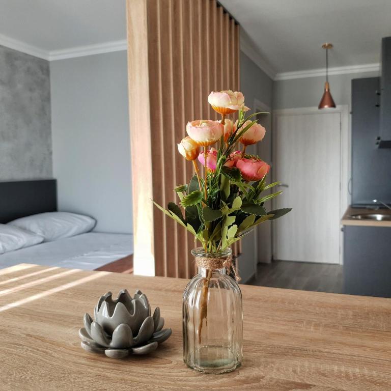 Villa Preciosa - Studio Apartment with Sea View - 11