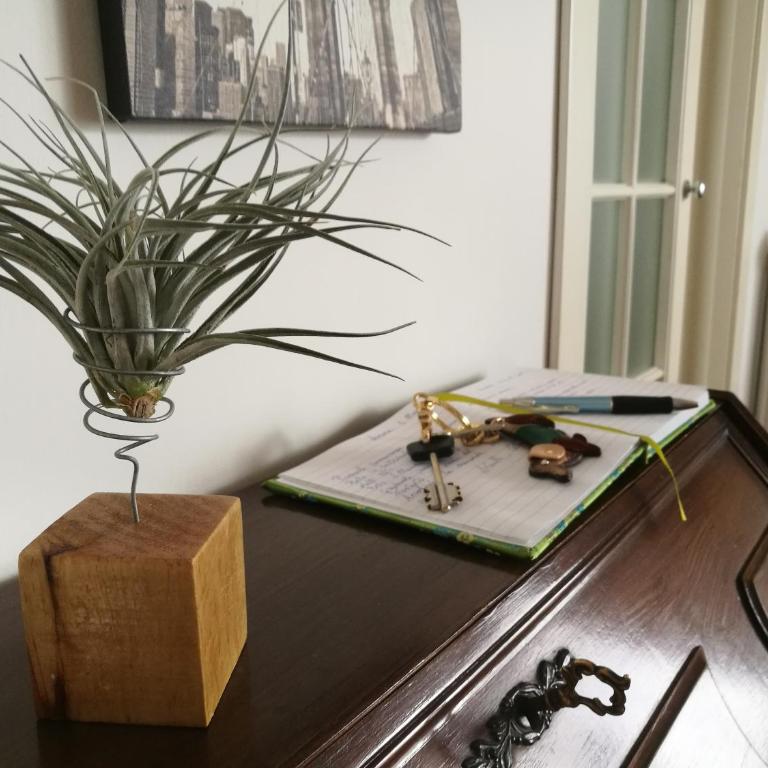 Mansarda DaSy - Appartamento - 6