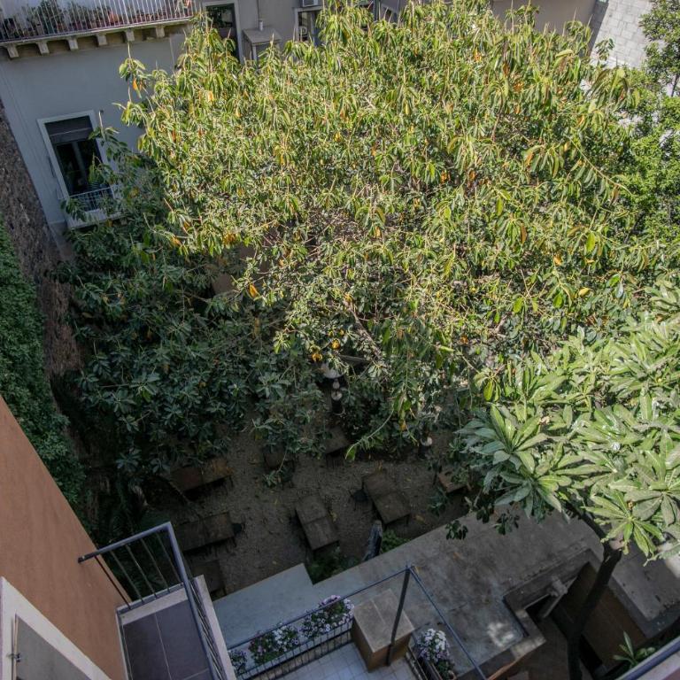 Corte dei medici - Palace - Double Room with Shared Bathroom - 5