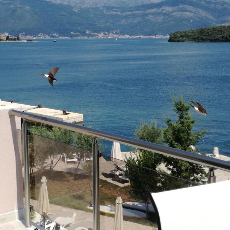 Apartmani Mia - Apartman sa Pogledom na More - 4