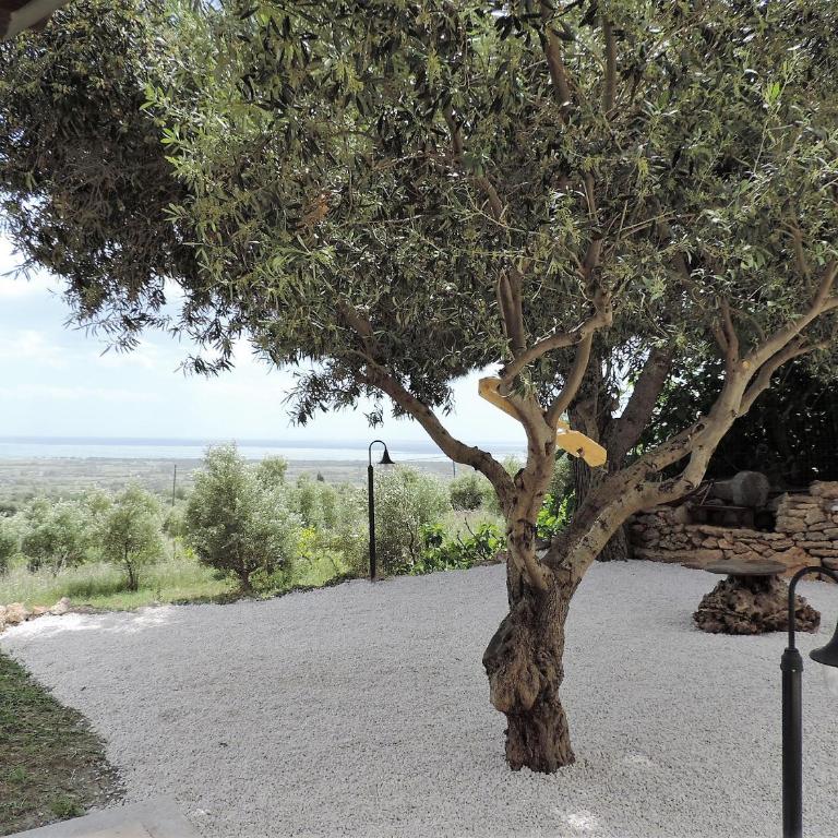 Residenza Belvedere - Casa Vacanze - 2