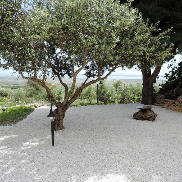 Residenza Belvedere - Casa Vacanze - 4