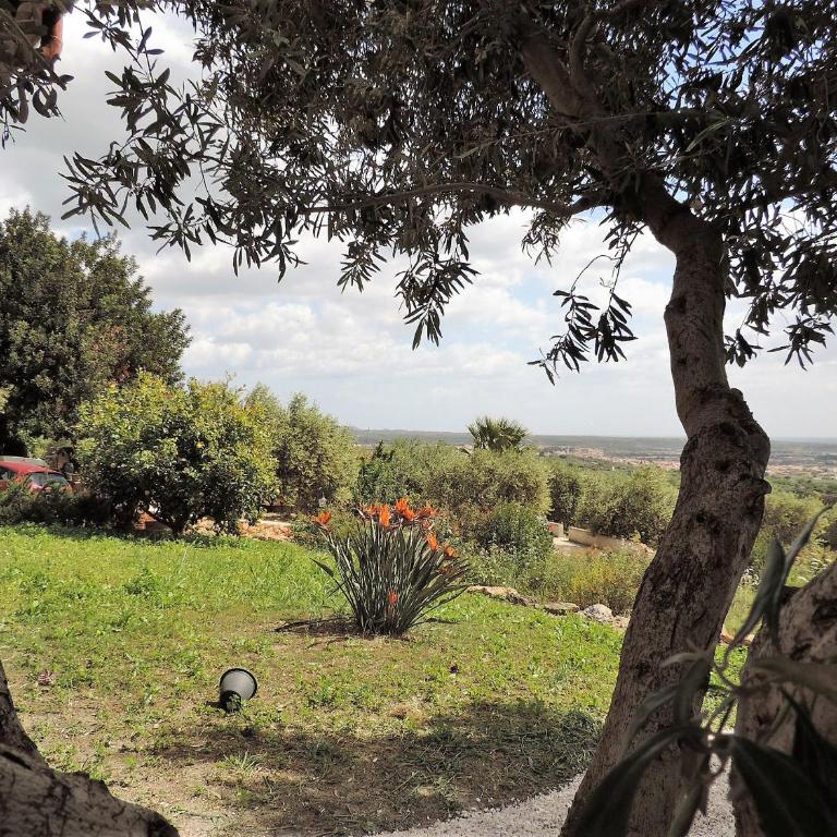 Residenza Belvedere - Casa Vacanze - 9