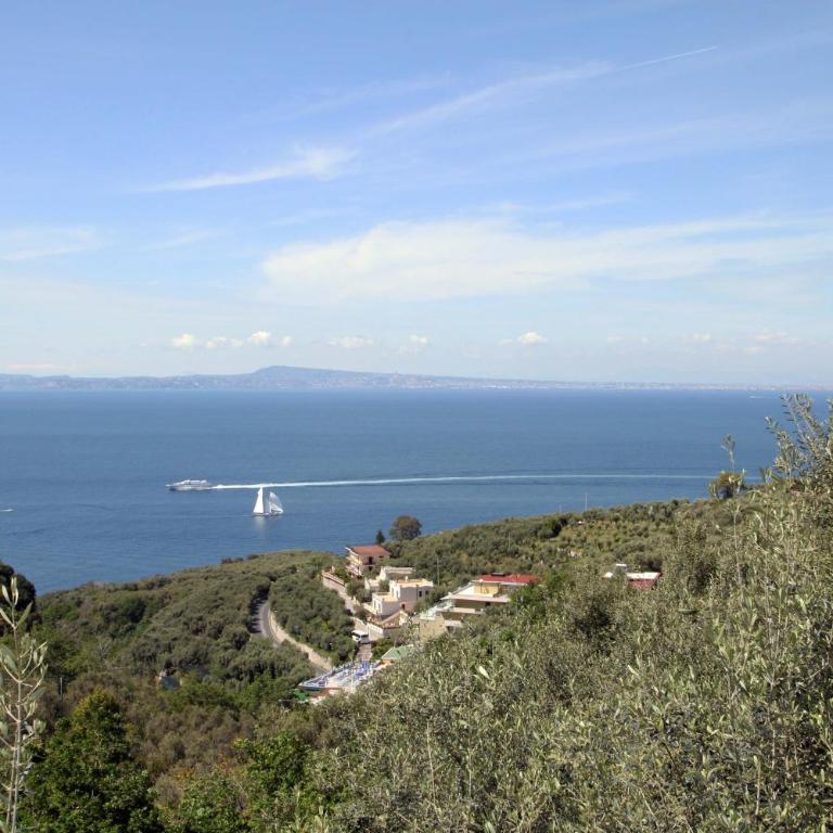Tenuta Camporosso - Vacation Home - 12