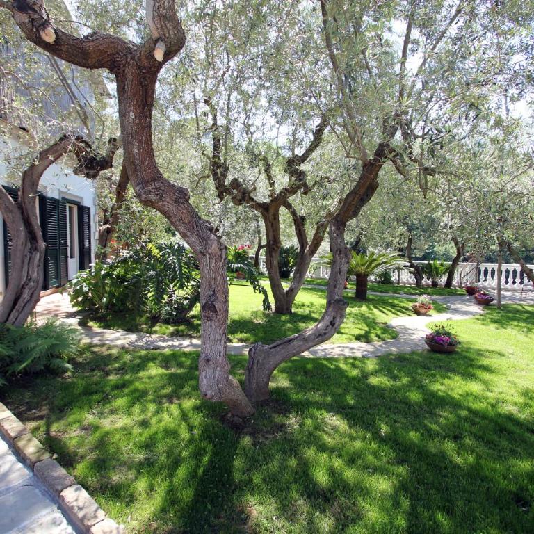 Tenuta Camporosso - Vacation Home - 15