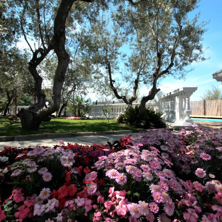 Tenuta Camporosso - Vacation Home - 18