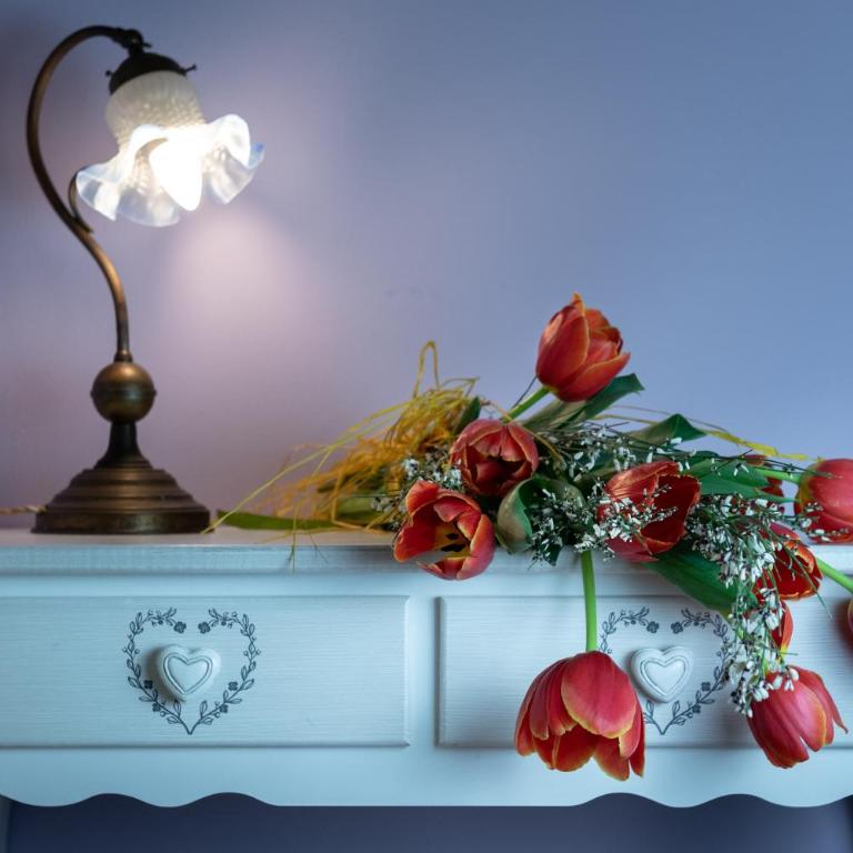 La Tosca Rooms & studios - Corte Fiorita con Cortile Interno - 7