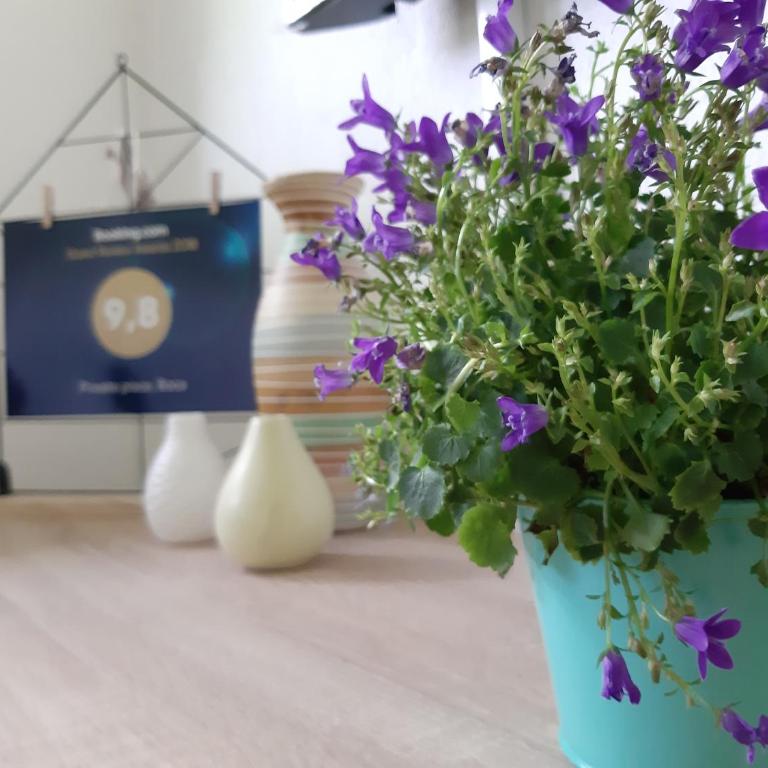 Private place, Boca - Two-Bedroom House - 32