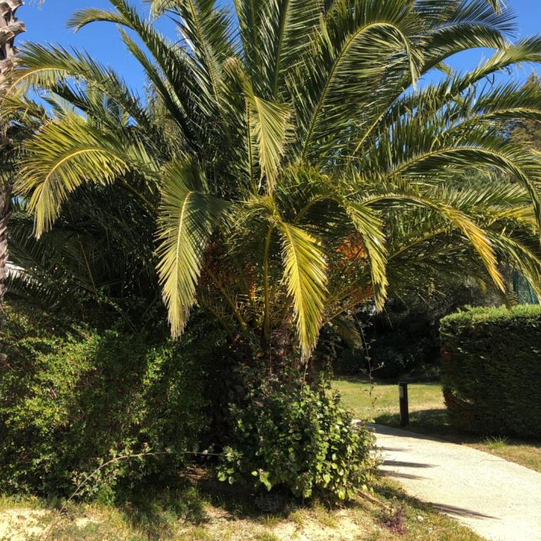 Le Noisetier - Two-Bedroom Apartment - 34