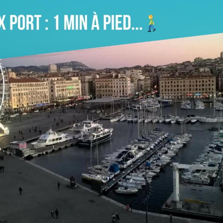 Le Massilia de Steenia - Appartement 1 Chambre - 31