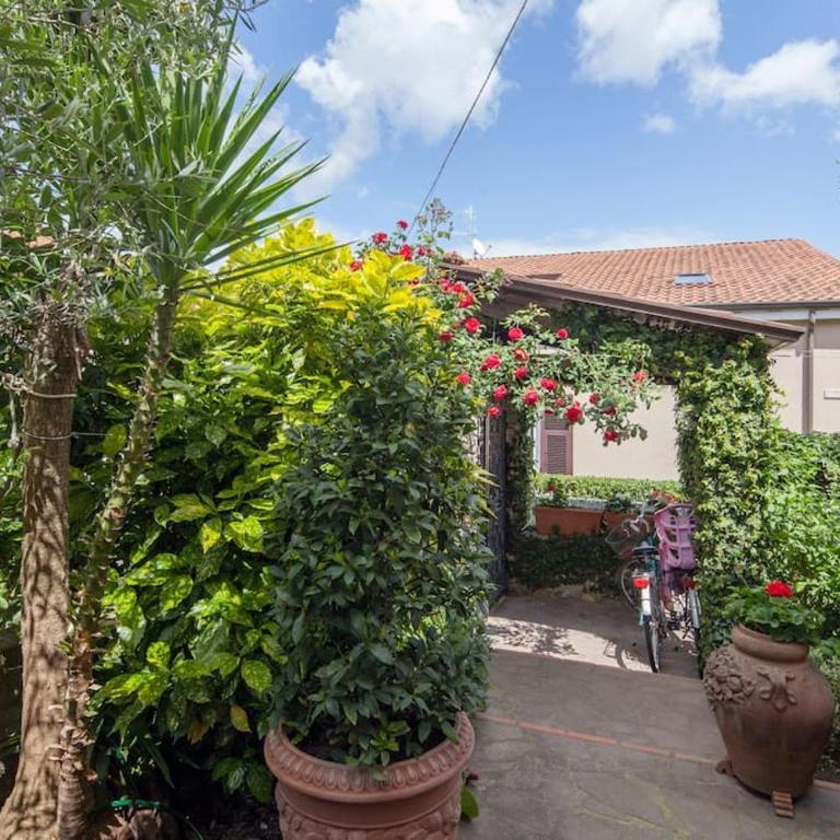 L'Olivo B&B - Comfort Quadruple Room - 12