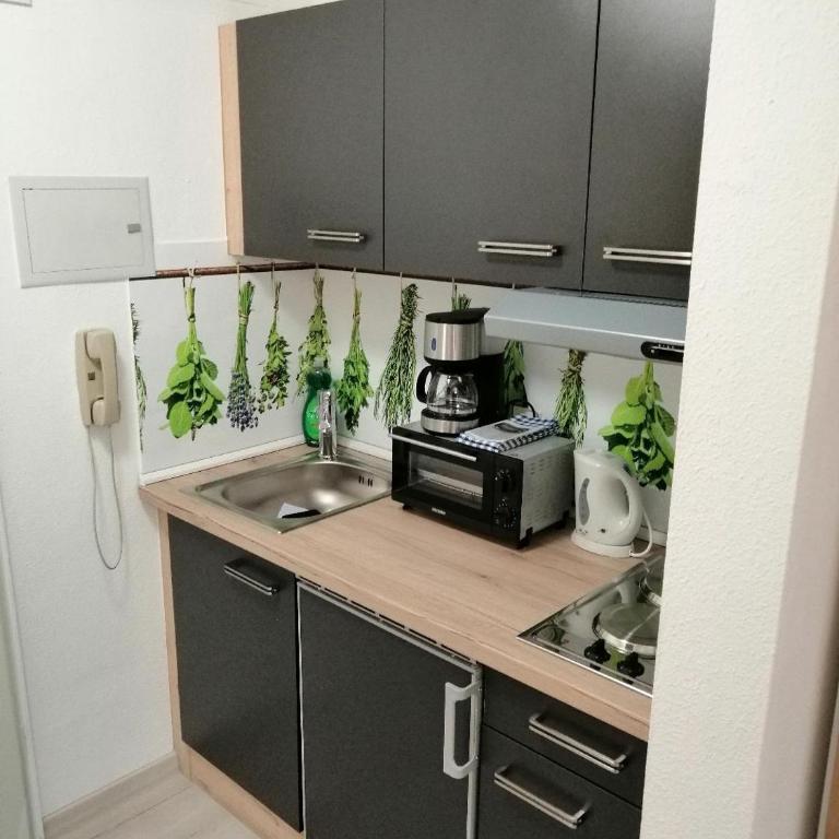 Mike's Apartment inkl. Oberstaufen Plus Card - Apartment mit 1 Schlafzimmer - 13