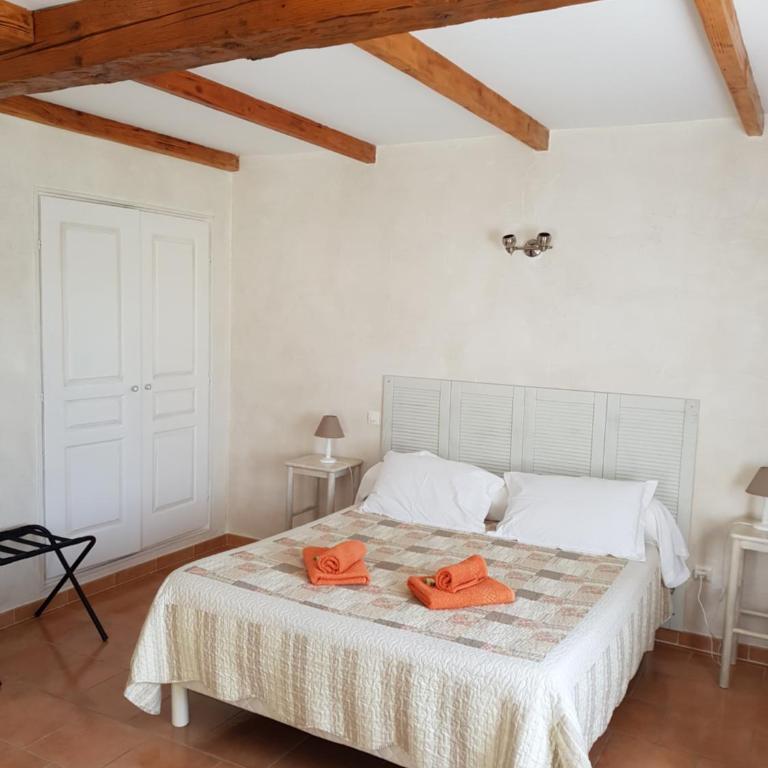Mas Clement - Chambre et table d'hôtes - Habitación Doble con terraza - 1