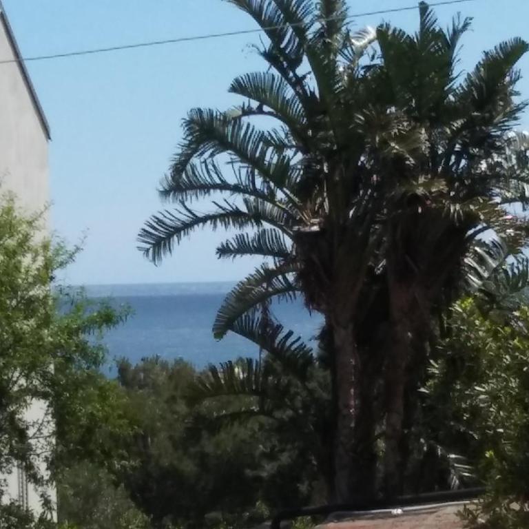 Casa Gaia - Appartamento con 2 Camere da Letto e Terrazza - 27
