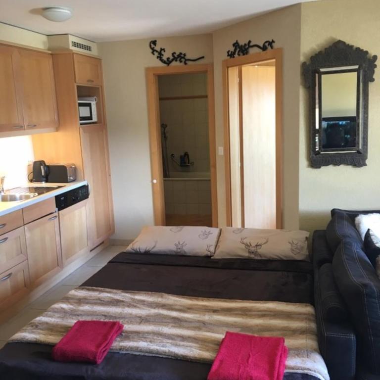 Apartment with Garden Daltons 1 - Chalet 1 Chambre - 22
